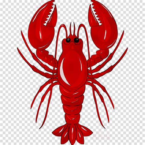 lobster clip art|lobster clip art transparent.